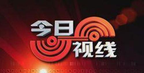 今日视线新闻爆料电话,今日视线新闻爆料电话背后的真相