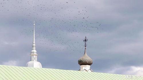 爱沙尼亚最新爆料消息,神秘事件背后真相曝光！”