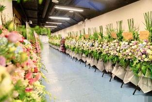 花篮网最新爆料网站大全,最新爆料网站大全大汇总