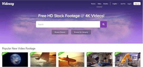 娱乐爆料模板视频素材无水印